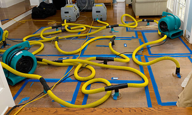 Professional Crawl Space Water Removal technician working in Kingston, OH